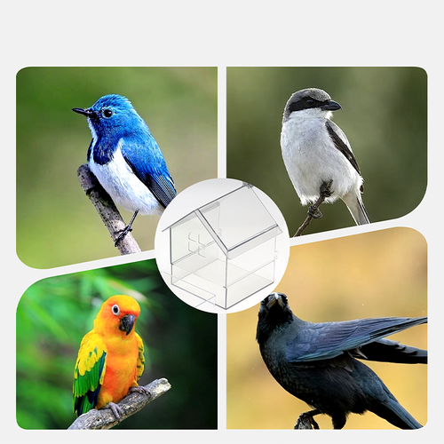 🔥Pull-Out External Parrot Feeder