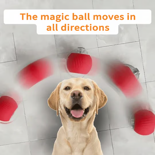 🔥 Buy 1 Get 1 Free🔥 Interactive Toys Ball Automatic Pet Exercise Toys