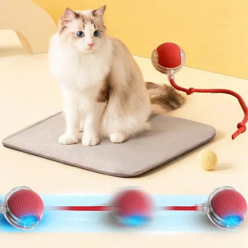 🔥 Buy 1 Get 1 Free🔥 Interactive Toys Ball Automatic Pet Exercise Toys