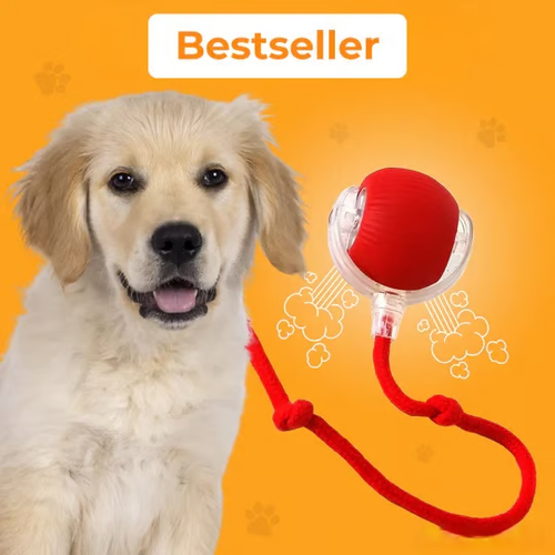 🔥 Buy 1 Get 1 Free🔥 Interactive Toys Ball Automatic Pet Exercise Toys