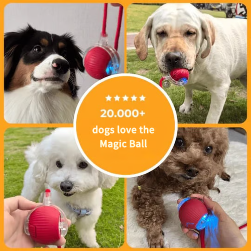 🔥 Buy 1 Get 1 Free🔥 Interactive Toys Ball Automatic Pet Exercise Toys