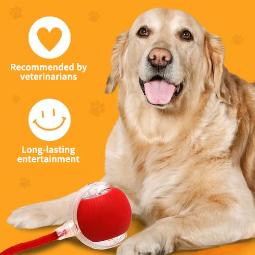 🔥 Buy 1 Get 1 Free🔥 Interactive Toys Ball Automatic Pet Exercise Toys
