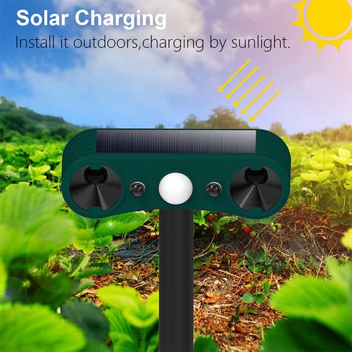 Solar Motion Sensor Outdoor Animal for Repelling