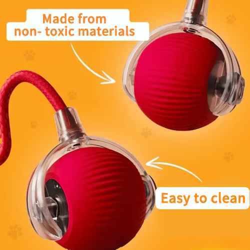 🔥 Buy 1 Get 1 Free🔥 Interactive Toys Ball Automatic Pet Exercise Toys