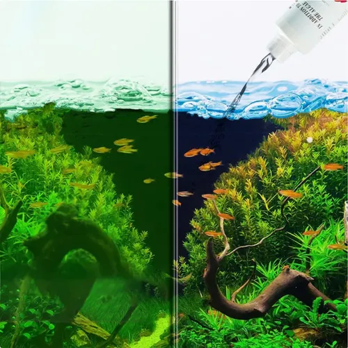 🎁Buy 1 Get 1 Free🎁Effectively control aquarium algae