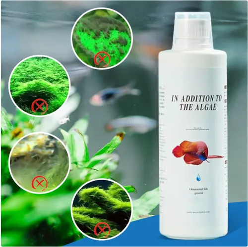 🎁Buy 1 Get 1 Free🎁Effectively control aquarium algae