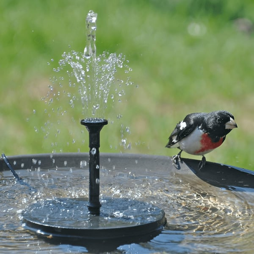 🎁Solar Powered Water Fountain