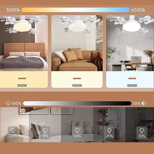 2-in-1 hanging fan light