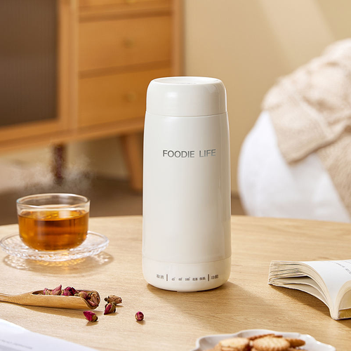 Portable Small Electric Kettle