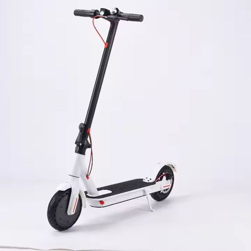 Adult electric bicycle