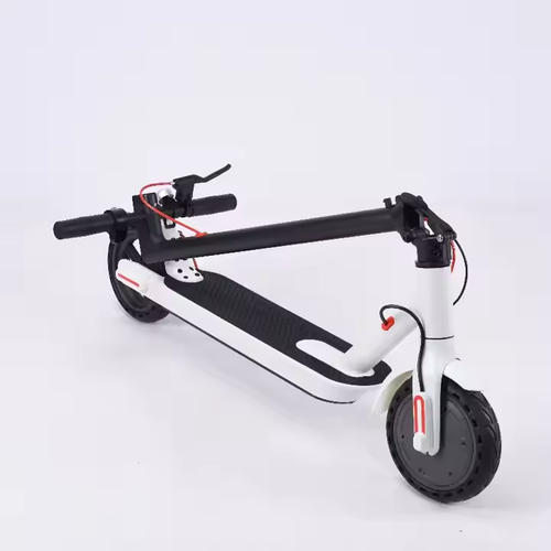 Adult electric bicycle