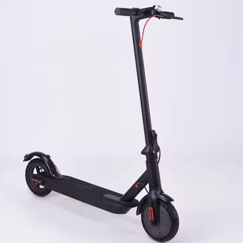 Adult electric bicycle