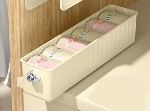 wall-mounted storage rack for underwear, panties and socks