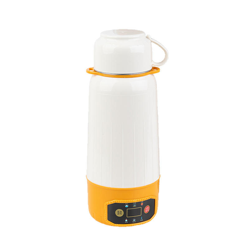 Portable Small Electric Kettle