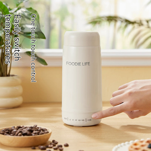 Portable Small Electric Kettle