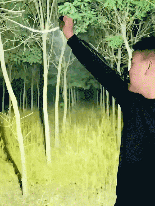 🔥Upgrade Your Adventures! Get the German Three-eyed Monster Mini Flash Super Power Flashlight Now & Shine Brightly in Style 362 sales