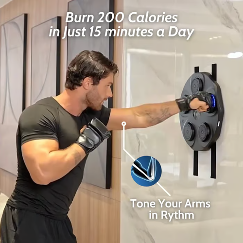 Music Boxing Machine 💥 Free Shipping