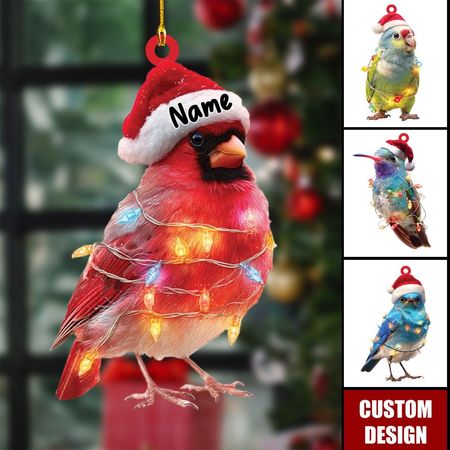 Personalized Bird Ornament Christmas Gift, Custom Name Bird Ornament with Santa Hat, Holiday Tree Decoration for Bird Lover