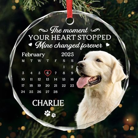 Personalisiertes Foto-Kreis-Glasornament - Personalisiertes Haustier-Weihnachtsgeschenk für Hunde, Katzen - Geschätzte Pfoten für immer in unseren Herzen