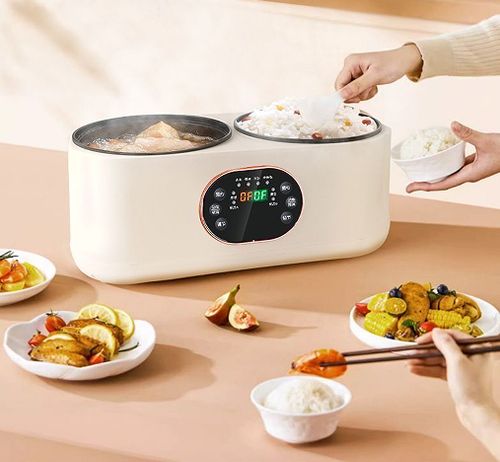 double gall electric rice cooker