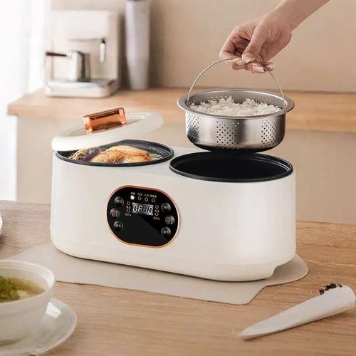 double gall electric rice cooker