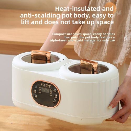 double gall electric rice cooker