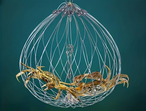 Automatic Opening & Closing Fishing Net Cage Automatic Opening & Closing Fishing Net Cage Automatic Opening & Closing Fishing Net Cage Automatic Opening & Closing Fishing Net Cage Automatic Opening & Closing Fishing Net Cage Automatic Opening & Closing Fishing Net Cage Automatic Opening & Closing Fishing Net Cage