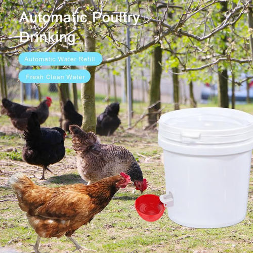 🔥Buy 3 get 3 free (6 PCS)🔥Chicken Waterer Cups, Automatic Chicken Watering System