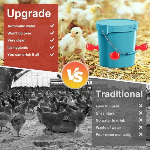 🔥Buy 3 get 3 free (6 PCS)🔥Chicken Waterer Cups, Automatic Chicken Watering System