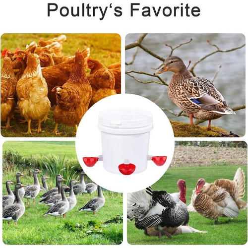 🔥Buy 3 get 3 free (6 PCS)🔥Chicken Waterer Cups, Automatic Chicken Watering System