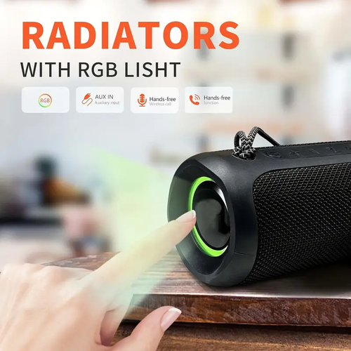 Portable wireless speaker