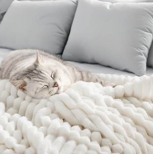 🔥Popular soft plush nap blanket