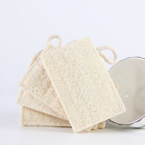 Loofah kitchen cleaning tools