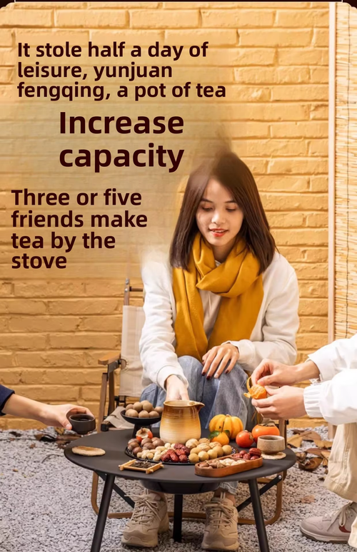 Outdoor barbecue grill household smokeless barbecue portable folding barbecue table charcoal barbecue field courtyard stove tea