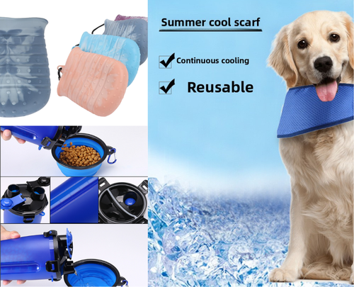 Summer Adventure Kit – Stay Hydrated, Clean & Chill