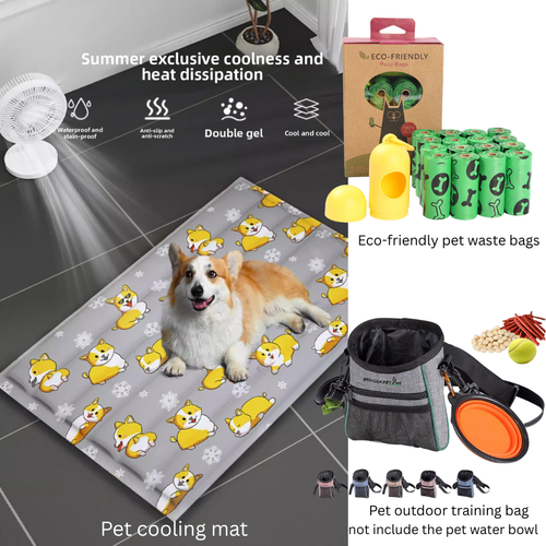 Pet Outdoor Essentials Set – Stay Cool, Clean & Ready