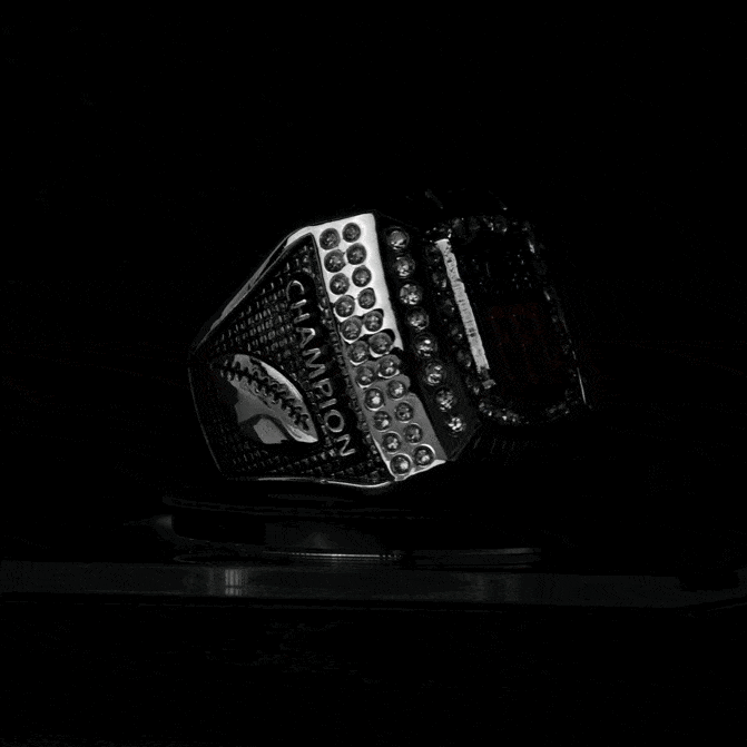 Championship Ring Spinning Display Case