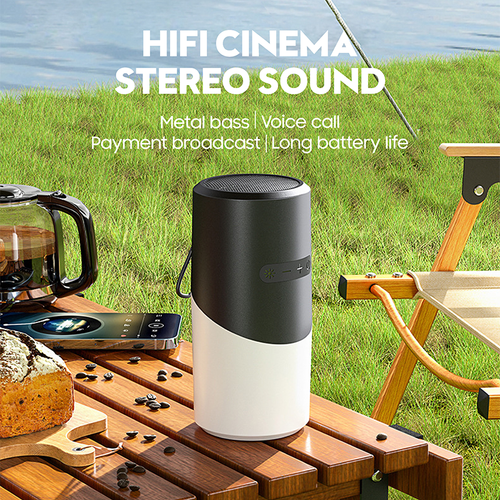 Outdoor RGB Light BT Speaker Portable Waterproof Wireless Subwoofer Speaker for Camping