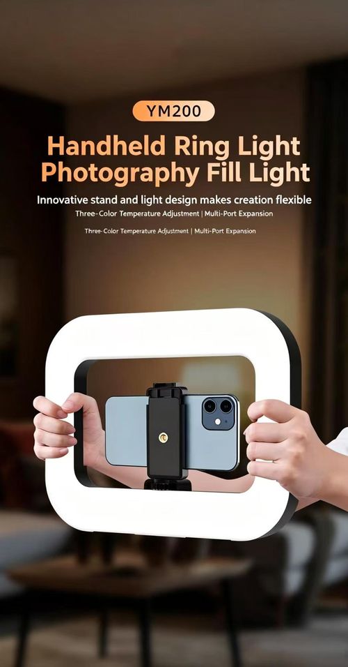 Portable Handheld Beauty Fill Light With Mini Tripod Rechargeable Selfie Ring Light 3 Cold Shoe Mounts For Phone Camera Video Recording Live Streaming Vlog Photography