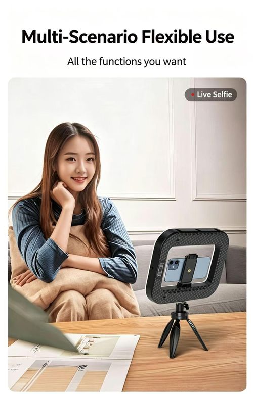Portable Handheld Beauty Fill Light With Mini Tripod Rechargeable Selfie Ring Light 3 Cold Shoe Mounts For Phone Camera Video Recording Live Streaming Vlog Photography