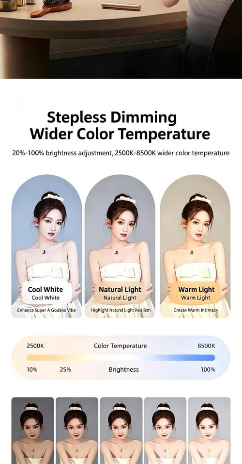Portable Handheld Beauty Fill Light With Mini Tripod Rechargeable Selfie Ring Light 3 Cold Shoe Mounts For Phone Camera Video Recording Live Streaming Vlog Photography