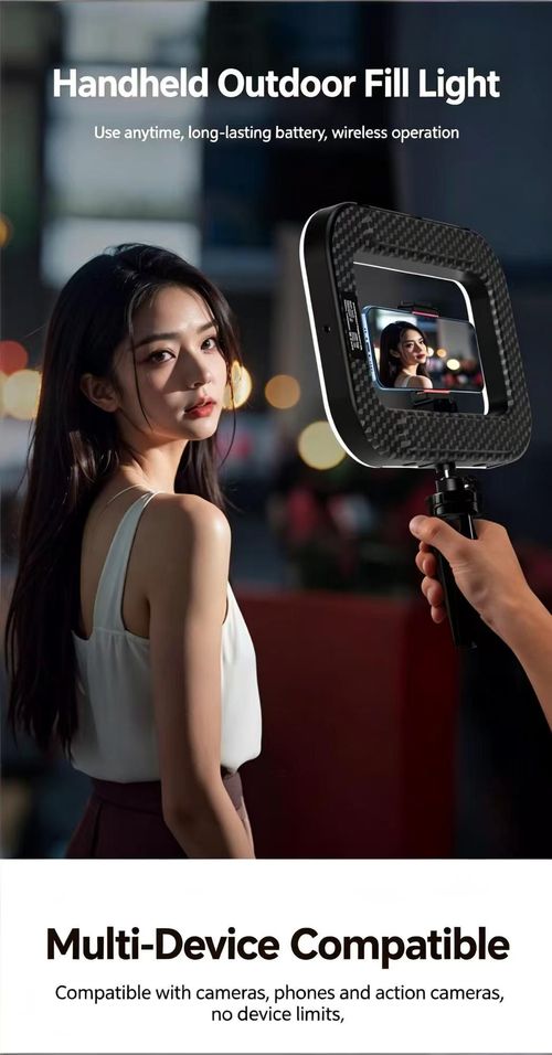 Portable Handheld Beauty Fill Light With Mini Tripod Rechargeable Selfie Ring Light 3 Cold Shoe Mounts For Phone Camera Video Recording Live Streaming Vlog Photography