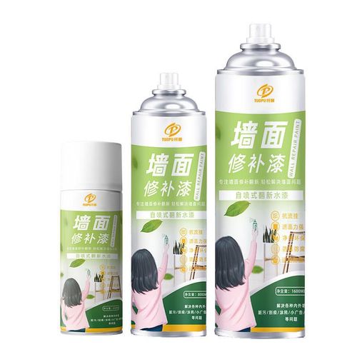 Spray paint 800ML bottle