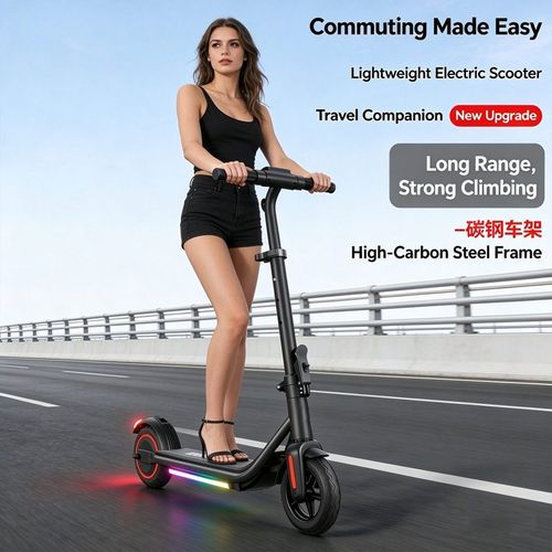 Electric Folding Scooter
