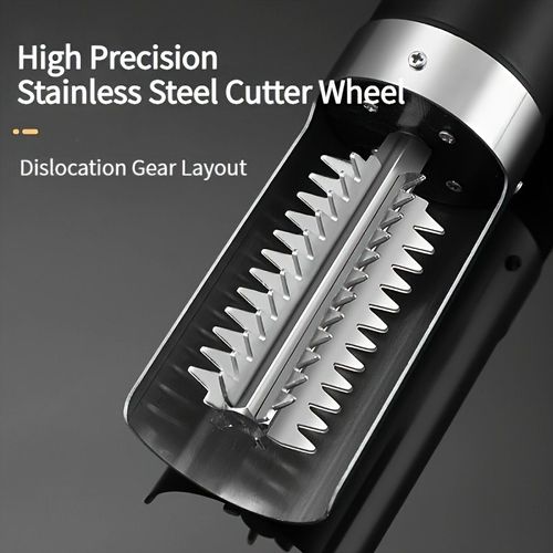 Electric scale remover