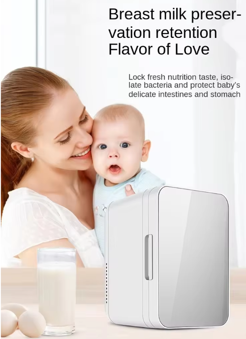 SAST 16L Portable Mini Fridge Warmer Cooler for Car Home Dorm 12V 220V Gold Keep Drinks Cold Warm Ideal for Ghana