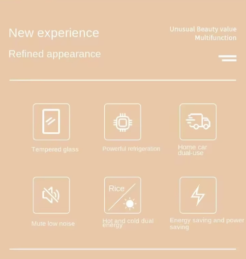 SAST 16L Portable Mini Fridge Warmer Cooler for Car Home Dorm 12V 220V Gold Keep Drinks Cold Warm Ideal for Ghana