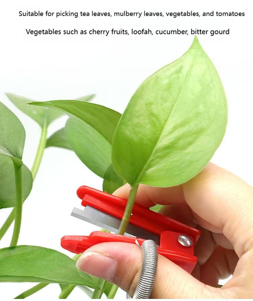 Thumb Harvest Knife multi use for leaf picking and vegetable harvesting It works for cucumbers beans grapes suckering topping pruning Ideal for home and garden