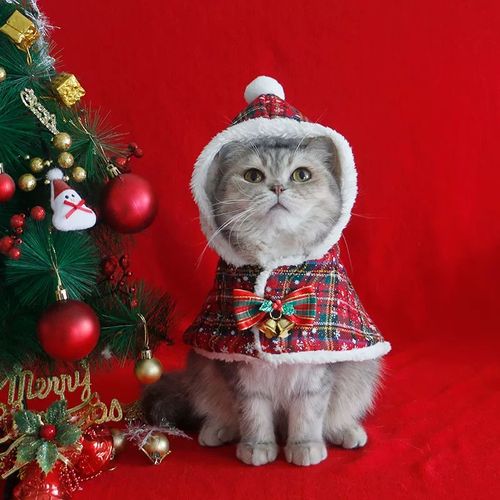 Christmas Snowflake Hooded Pet Cape