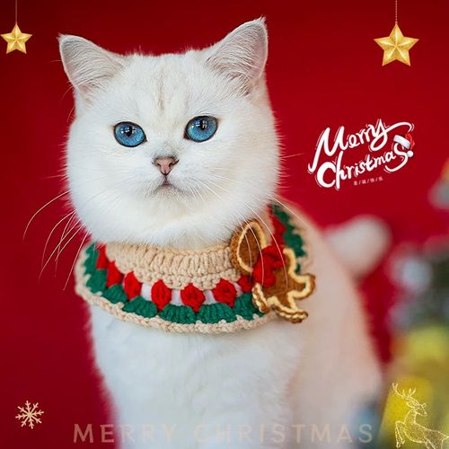 Christmas Pet Scarf Gingerbread Man